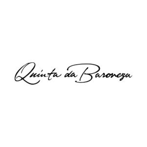 17-300x300-1.png